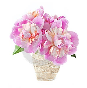 Closeup of peony flowers, fluffy pink peonies flowers, peony bunch in vase