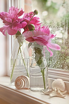 Closeup of peony flowers in milk bottles