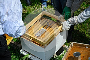 Closeup of people installing a wooden frame on a beehive.
