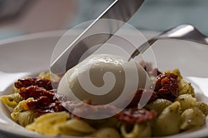 Closeup of pesto conchiglie with sundried tomatoes and cutting burrata cheese served in white plate