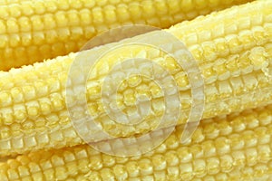 Closeup photo of baby corn (Candle corn)