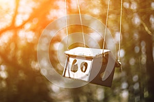 Closeup photo of bird feeder in park or forest in sun light captured by early spring.