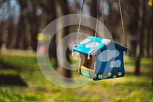 Closeup photo of bird feeder in park or forest in sun light captured by early spring.