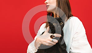 Closeup photo of a black small cat in the hands of the owner on a red foin, pet looking into the camera. Woman holding a cat in
