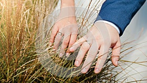 Closeup photo of bride and groom hands touching grass on the field. Weeding ceremony in nature