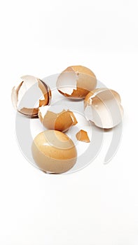 Raw Chicken Egg's Shell