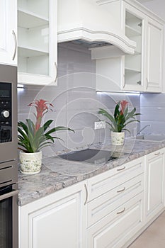 Closeup photo of epmty minimalistic interior background, kitchen in modern apartment with counter, equipment and flowers on table