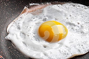 Closeup photo of fried egg on the pan surface