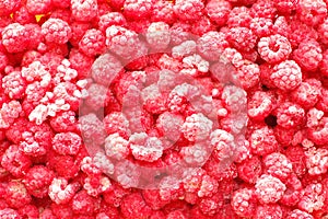 Closeup photo of frosty, frozen raspberries