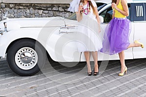 Closeup photo of girls celebrating a bachelorette party with bride