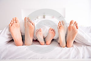 Closeup photo of happy family barefoot mommy daddy kid legs lying sheets sleeping early morning spend together