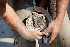 Closeup photo of hooves of a saddle horse on animal farm at rural animal farm