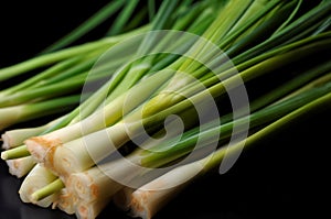Closeup photo of lemongrass plant stems. Generate ai