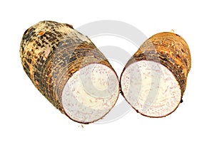 Closeup photo of Taro, root vegetable