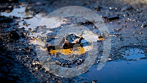 Closeup photo of toxic wastes, oil and plastic polluting ground. Concept of harm to environment and ecology disaster