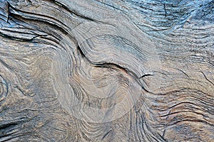 Closeup Photo of Tree Stump Textures