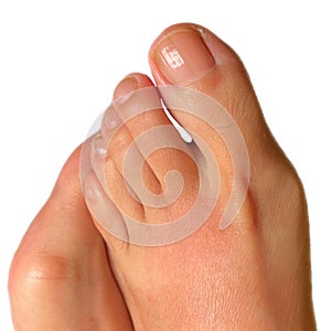 Closeup photo of woman feet and toes with white background