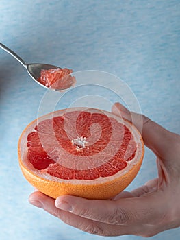 Closeup, photo of a woman holding half of fresh ripe red grapefruit in her hand. Spoon with a slice of grapefruit in hand. Blue