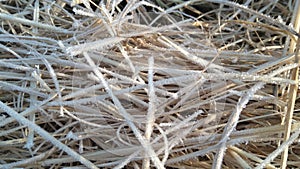 A closeup photograph of dry cut grass blades covered in frosted ice crystals