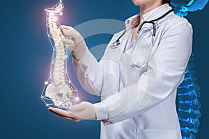 A doctor holding an artificial spine model photo