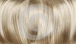 Closeup picture of dense, straight wig