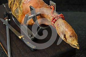 Closeup of a piece of pork meat's thigh on a steel holder