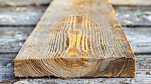 Closeup of a piece of treated wood displaying its resistance to rot and decay compared to untreated wood