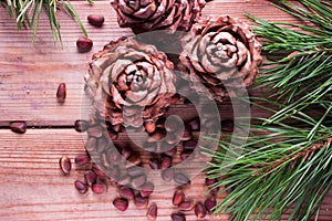 Closeup of pignolia nut