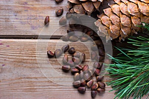 Closeup of pignolia nut