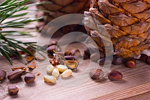 Closeup of pignolia nut