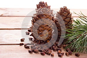 Closeup of pignolia nut