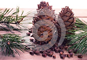 Closeup of pignolia nut