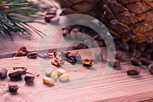 Closeup of pignolia nut