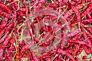 Closeup Pile of air-dried red chili peppers background. Hot and spicy dry red chillies.