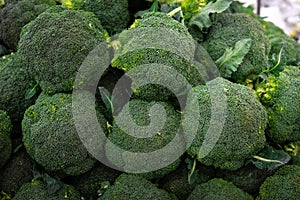 Closeup of the pile of broccoli on the market,Fresh, healthy, organic vegetables such as broccoli for sale at a farmer`s marke at photo