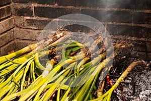 Closeup of a pile of calcots or sweet onions being cooked in the barbecue. Typical of Catalonia, Spain