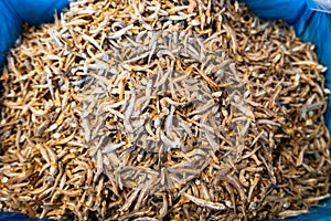 Closeup of a pile of dried anchovies.