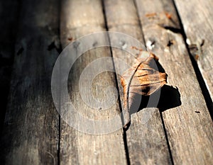 Closeup of a pile of dried leaves on a wooden surface