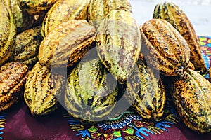 Closeup of pile of fresh cocoa pods, Theobroma cacao. Street tropical fruit market. Harvest of exotic food concept.