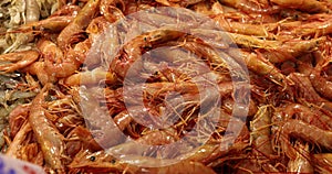 Closeup of pile of fresh raw shrimp at market