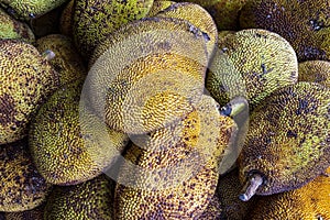 Closeup of pile of jackfruit at wholesale market stall