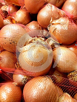 A closeup pile of mesh bagged yellow cooking onions background