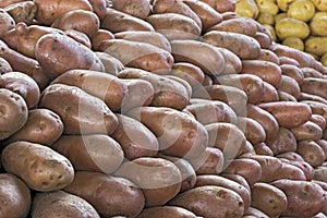 Closeup of pile of potatoes