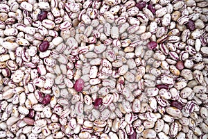 Closeup of a pile of red pinto beans.