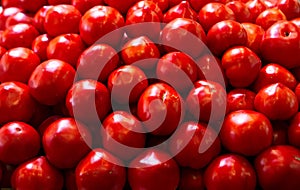 Closeup of a pile of tomatoes at the market