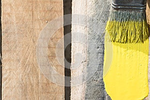 Closeup Of Pine Plank Being Painted In Yellow Color