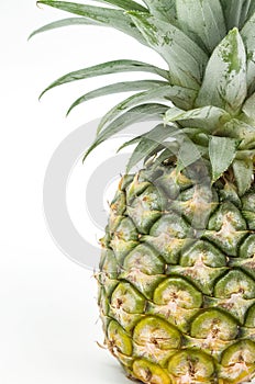 Closeup pineapple isolated