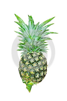 Closeup Pineapple on White Background, Clipping Path
