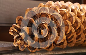 Closeup of Pinecone