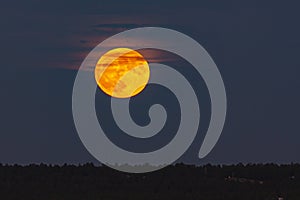 Closeup of Pink Clouds over Orange Full Supermoon in dark Sky